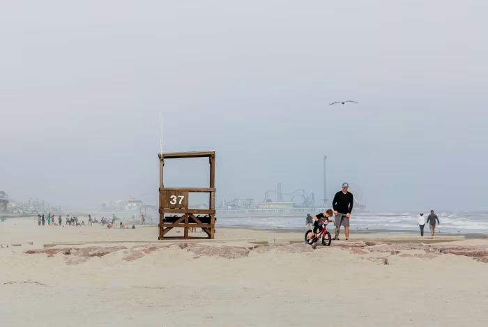 Before heading to Galveston Beach, beware of these sea creatures, safety risks in the waters